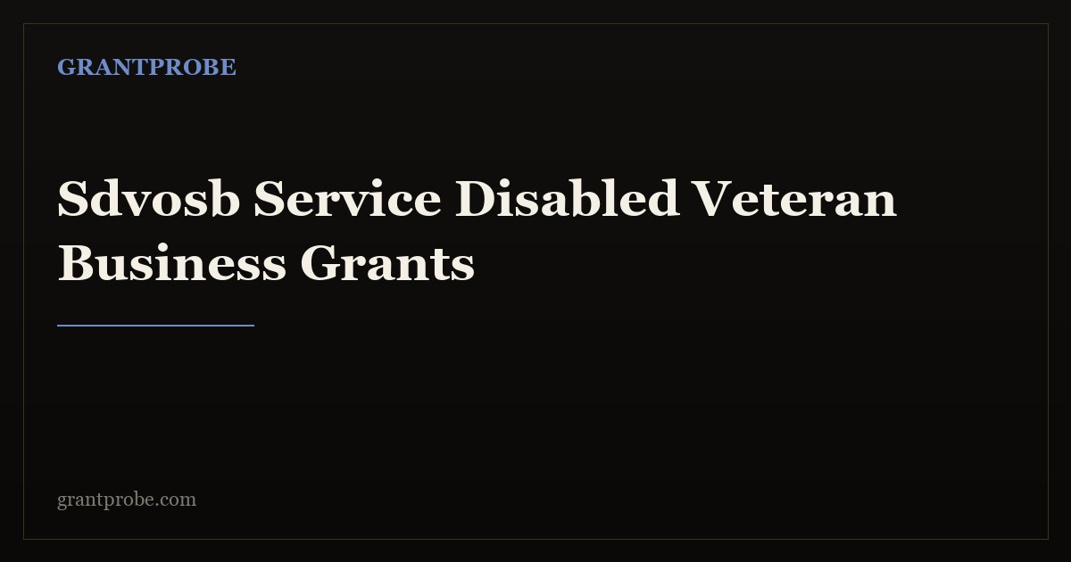 U.S. flag and veteran-owned small business storefront, representing SDVOSB federal contracting and funding
