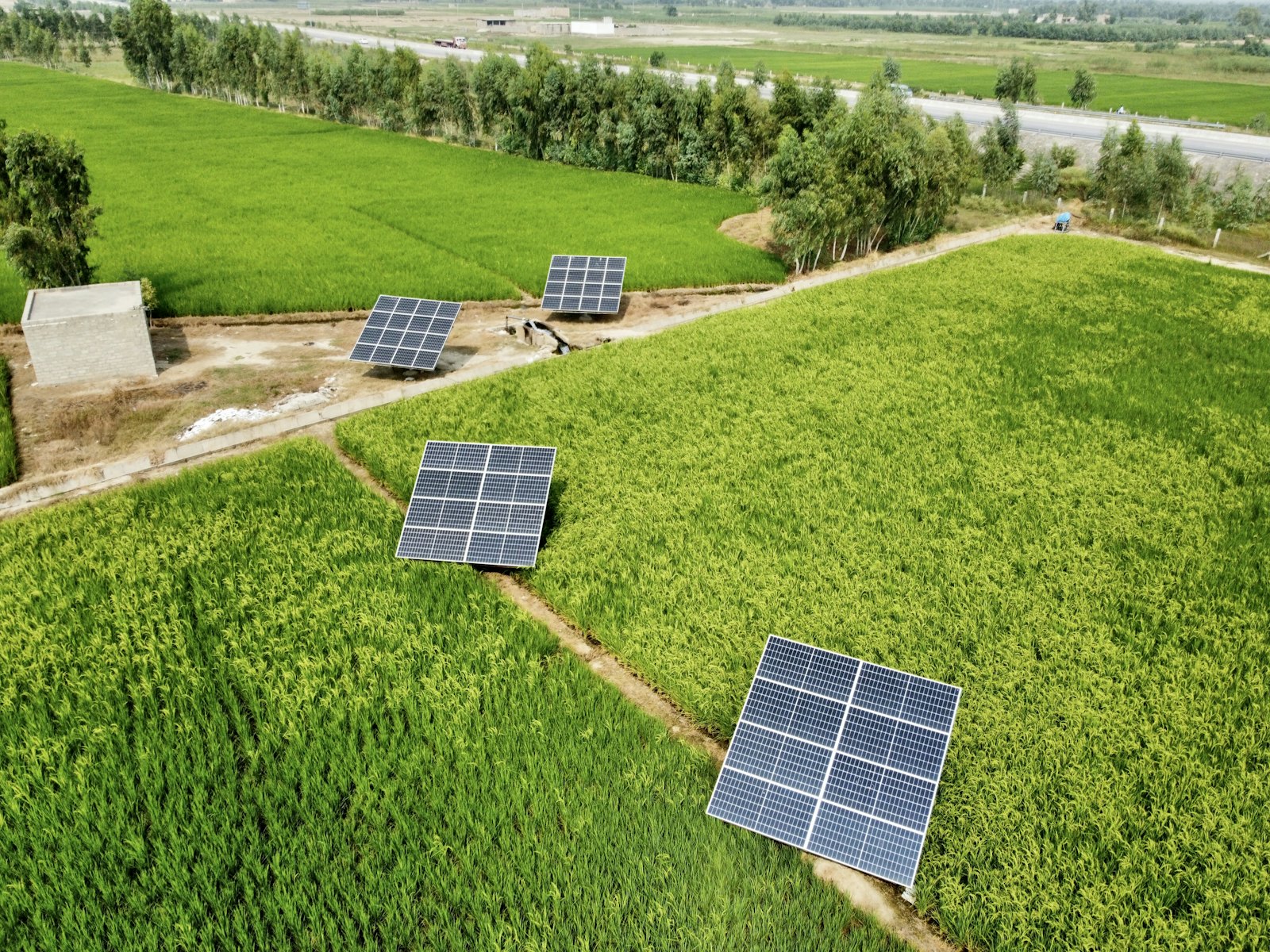Rows of solar panels installed across an open field, a renewable energy system eligible for REAP funding